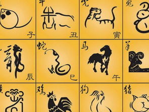 生肖配对姻缘男兔女龙：男兔女龙，生肖配对中的相生相克与相处之道