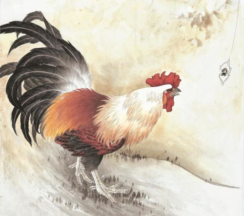 1969属鸡最难熬的年龄：1969属鸡人，这四个年龄阶段需警惕，熬过去人生豁然开朗