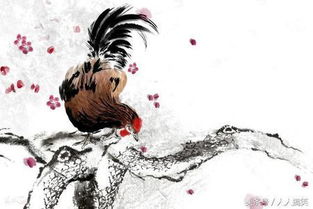 1969属鸡最难熬的年龄：1969属鸡人，这四个年龄阶段需警惕，熬过去人生豁然开朗