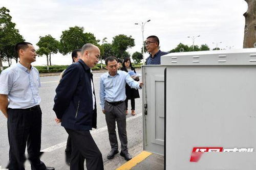 周公解梦官网大全查询：权威周公解梦官网大全查询指南，科学解梦与传统文化结合