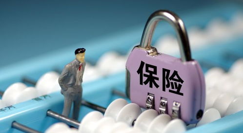 赔付方式对投保决策的影响有哪些？