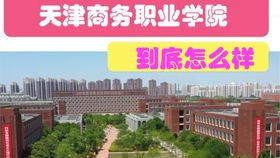 天津商务职业学院（天津商务职业学院官网学生入口）