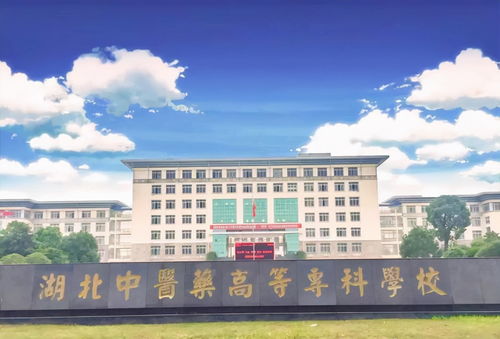 浙江不用考直接读的大专学校（浙江不用分数的技术学校）