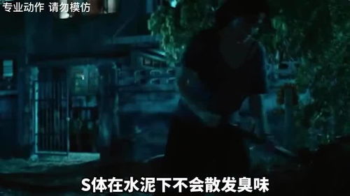 梦见躲藏被发现:梦里躲藏被发现,当恐惧在现实中苏醒 梦见躲藏被发现:梦里躲藏被发现,当恐惧在现实中苏醒