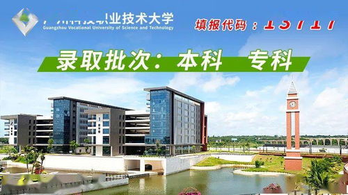 广州科技职业技术大学招生办（广州科技职业技术大学招生办电话市白云区）