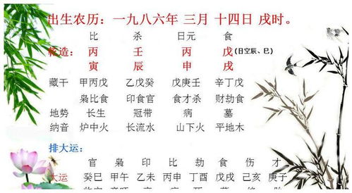 属虎和属龙结婚吉日：2025年属虎与属龙的完美婚期指南，传统婚配与吉日推荐