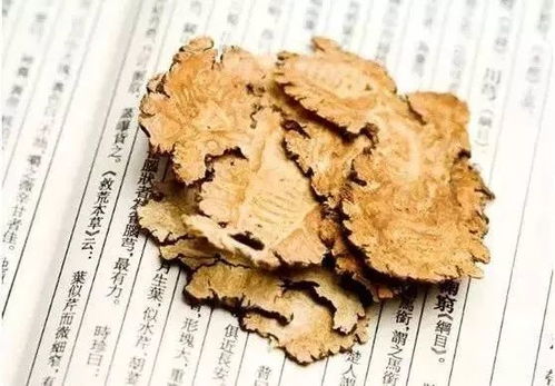 中药川芎的功效与作用：中药川芎，千年药香里的活血行气血液疏通剂