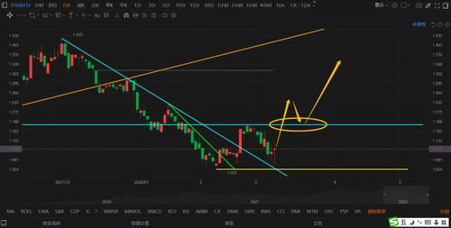 腾盛博药-B授出60万份购股权