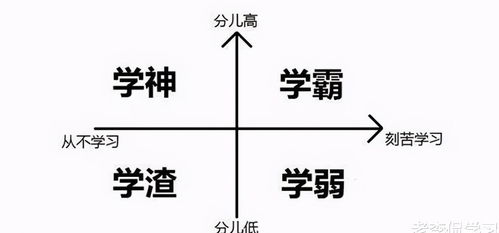 巨蟹座是学霸还是学渣：巨蟹座是学霸还是学渣？性格特质决定学习态度的双面解读