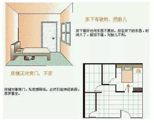 风水学入门知识住宅风水讲解：住宅风水入门指南，从选址到布局的实用技巧与避坑要点