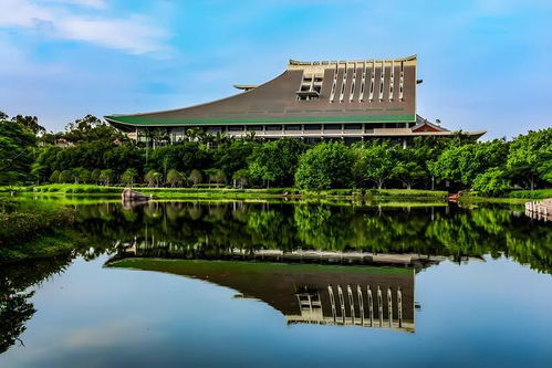 厦门大学四大王牌专业（厦门大学什么专业最好）