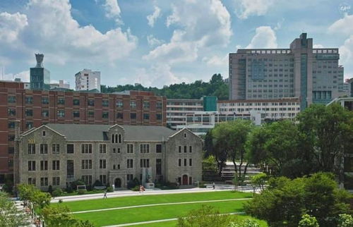 湖南十大名校大学排名(湖南十大名牌大学) 湖南十大名校大学排名(湖南十大名牌大学)