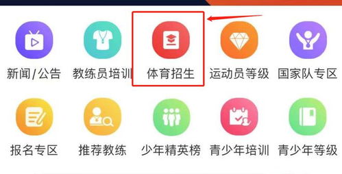 单招录取结果查询（单招录取结果查询录取状态）