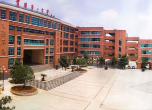 qq星座运势在哪里看：QQ星座运势在哪里看？手把手教你3步解锁每日星座运势