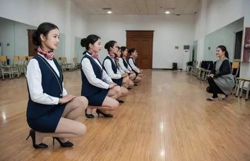 专科空姐跟本科空姐区别(女孩学空乘的十大忠告) 专科空姐跟本科空姐区别(女孩学空乘的十大忠告)