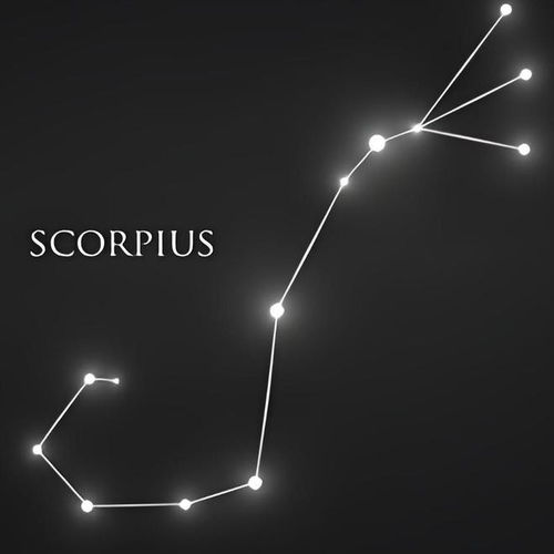 天蝎座的性格特征男：天蝎座男性，神秘深渊中的忠诚骑士