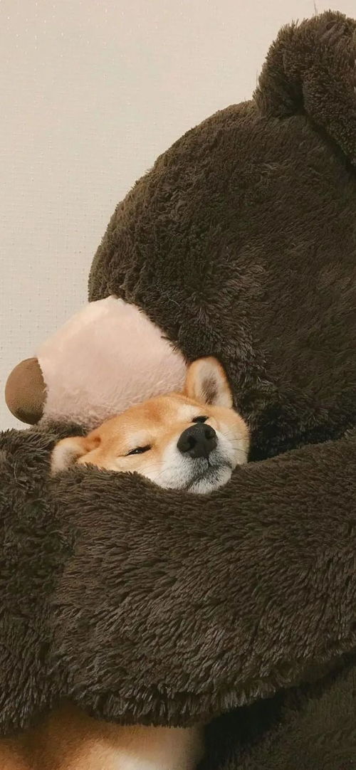 天蝎男把你睡了后的心理:被天蝎男睡过后的真实心理变化,一场权力博弈后的自我重塑 天蝎男把你睡了后的心理:被天蝎男睡过后的真实心理变化,一场权力博弈后的自我重塑