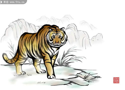 免费算命1986年属虎：免费算命1986年属虎，性格解码与2024流年运势全解析