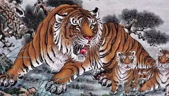 免费算命1986年属虎：免费算命1986年属虎，性格解码与2024流年运势全解析