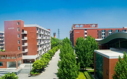 西南财经大学本科招生网（2021西南财经大学官网）