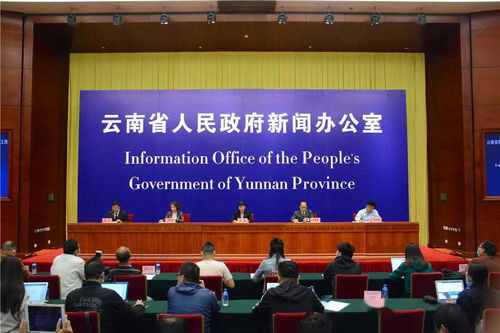 安徽省药品集中采购平台官网：安徽省药品集中采购平台官网，官方渠道，透明公开，惠及民生