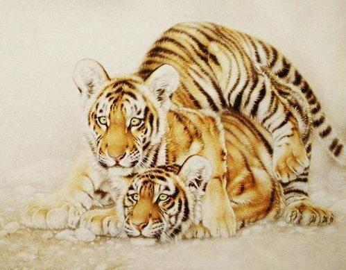 女属虎婚配最佳属相：女属虎婚配最佳属相，这三大生肖让你遇见真爱，婚姻幸福长久！