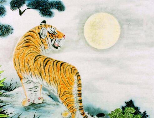 女属虎婚配最佳属相：女属虎婚配最佳属相，这三大生肖让你遇见真爱，婚姻幸福长久！