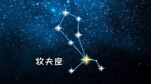 十二星座谁是鬼:十二星座中的鬼影,谁才是夜空中的幽冥使者? 十二星座谁是鬼:十二星座中的鬼影,谁才是夜空中的幽冥使者?