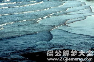 做梦梦见海水涨潮冲来：潮汐的低语，我与梦中涨潮的对话