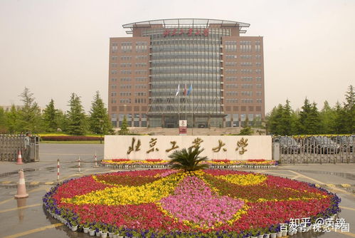 职高能考985和211大学吗（职高最吃香的三个职业）