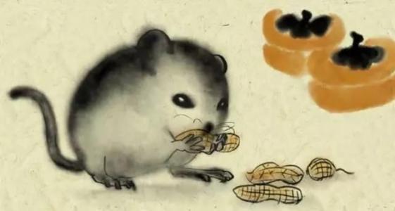 72年生肖属鼠的运程：72年生肖鼠2023年运程解析，机遇与挑战并存，抓住三重关键