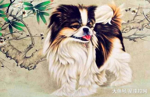 94年狗2024年结婚吉日：94年狗2024年结婚吉日，属狗人婚运解析与最佳婚期推荐