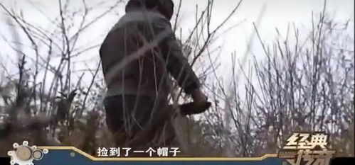 梦见凶杀案和死尸：梦境中的凶杀案与死尸，一场潜意识的自我疗愈