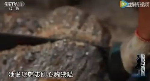 梦见凶杀案和死尸：梦境中的凶杀案与死尸，一场潜意识的自我疗愈