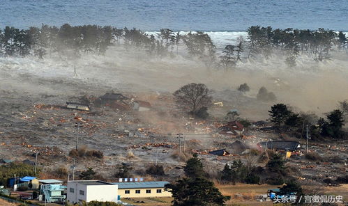 梦见海啸发大水逃生:梦魇海啸,一场与死神赛跑的逃生 梦见海啸发大水逃生:梦魇海啸,一场与死神赛跑的逃生