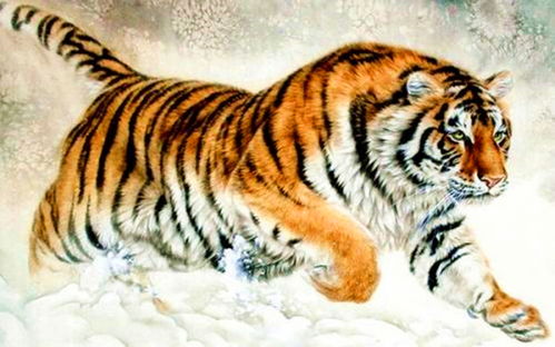 86年女虎二婚会在哪一年:1986年出生属虎女性,二婚有望在2028年,命理分析揭示未来十年婚恋趋势 86年女虎二婚会在哪一年:1986年出生属虎女性,二婚有望在2028年,命理分析揭示未来十年婚恋趋势