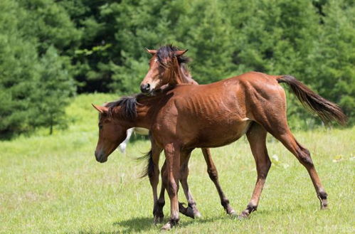 在线算命免费2021年运势：免费在线算命2021年运势指南，事业爱情健康全解析（附科学解读）