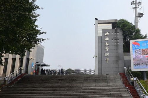 重庆市高中排名前50名(重庆市高中排名前十) 重庆市高中排名前50名(重庆市高中排名前十)