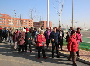 石家庄电子信息学校(石家庄电子信息学校招生电话) 石家庄电子信息学校(石家庄电子信息学校招生电话)