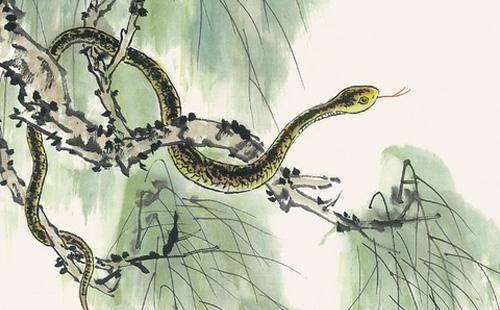 梦到大蟒蛇吃人：梦到大蟒蛇吃人，潜意识中的恐惧与象征