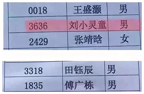 婚姻测算姓名配对：姓名学中的婚姻测算，姓名配对如何影响夫妻关系？科学解读传统文化智慧