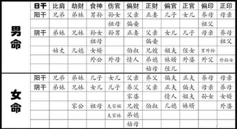 4柱8字排盘怎么看：四柱八字排盘入门指南，从生辰排盘到命理分析的全流程解析