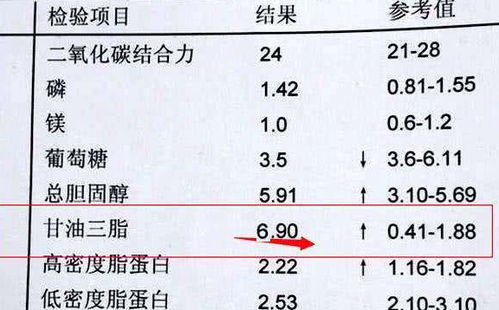 载脂蛋白b偏低：载脂蛋白B偏低，解读这个血脂指标的另类健康信号