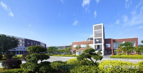 厦门城市职业学院官网（厦门城市职业学院官网学生管理平台）