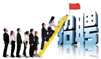 人力资源代招公司:人力资源代招公司,企业招聘的明智选择 人力资源代招公司:人力资源代招公司,企业招聘的明智选择