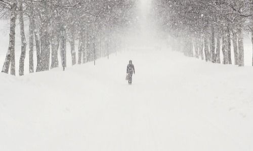 女人梦见大雪纷飞是什么征兆：梦里大雪纷飞，暗示着什么？