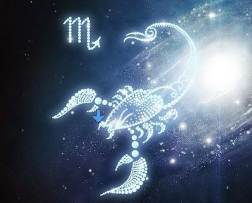 摩羯座是几月到几月几号：摩羯座是几月到几月几号？12星座日期全解析+性格揭秘