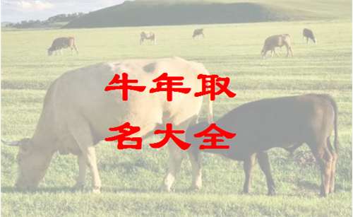 女孩起名2021属牛：2021辛丑年属牛女孩起名指南，融合生肖特质与美好寓意，为宝宝打造专属名字