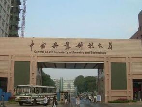 梦见大片雪花从天降：昨夜梦中，大片雪花自天而降，白茫茫一片，竟将整个世界都裹了起来。醒来时，窗外依旧是夜色，而那梦中的雪，却分明在心头堆积，不肯散去