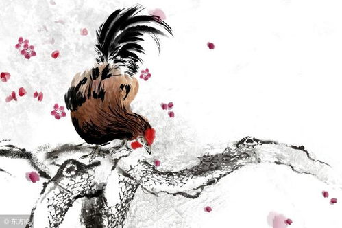 81年属鸡一生三大劫:1981年属鸡人,一生三大劫年解析,破局改运有讲究 81年属鸡一生三大劫:1981年属鸡人,一生三大劫年解析,破局改运有讲究